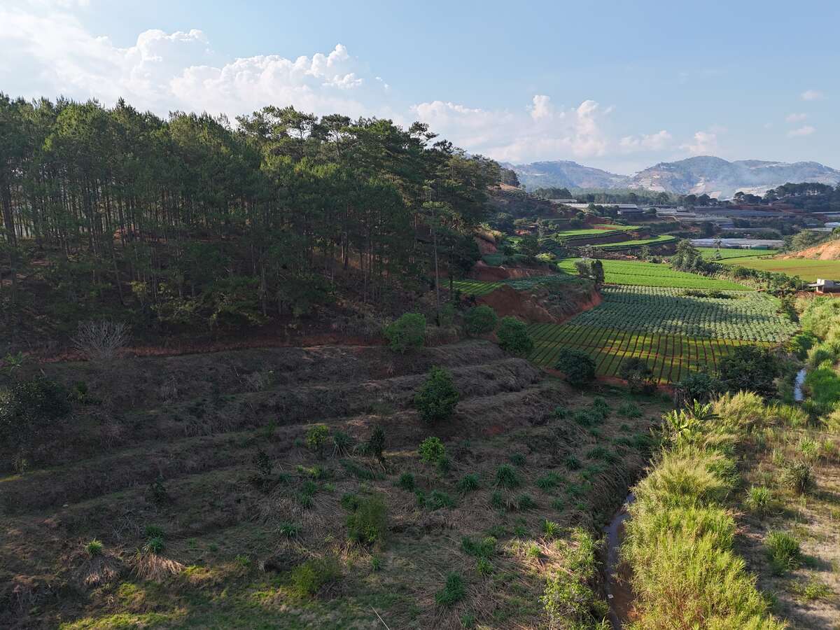 Đất vườn 6.000m2 Xuân Thọ, bám suối bám đường view thông quá đẹp