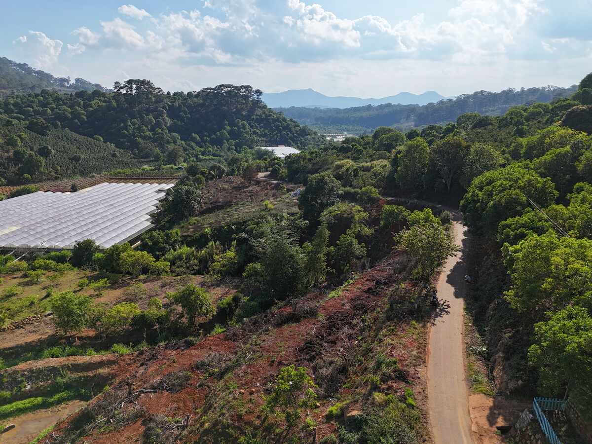 Đất vườn Xuân Sơn Cầu Đất mặt tiền rộng, bám suối view đồi thông phù hợp làm homestay