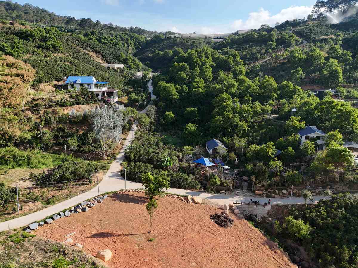 Đất vườn Trạm Hành Cầu Đất với 2 mặt tiền view rừng thông xung quanh là homestay