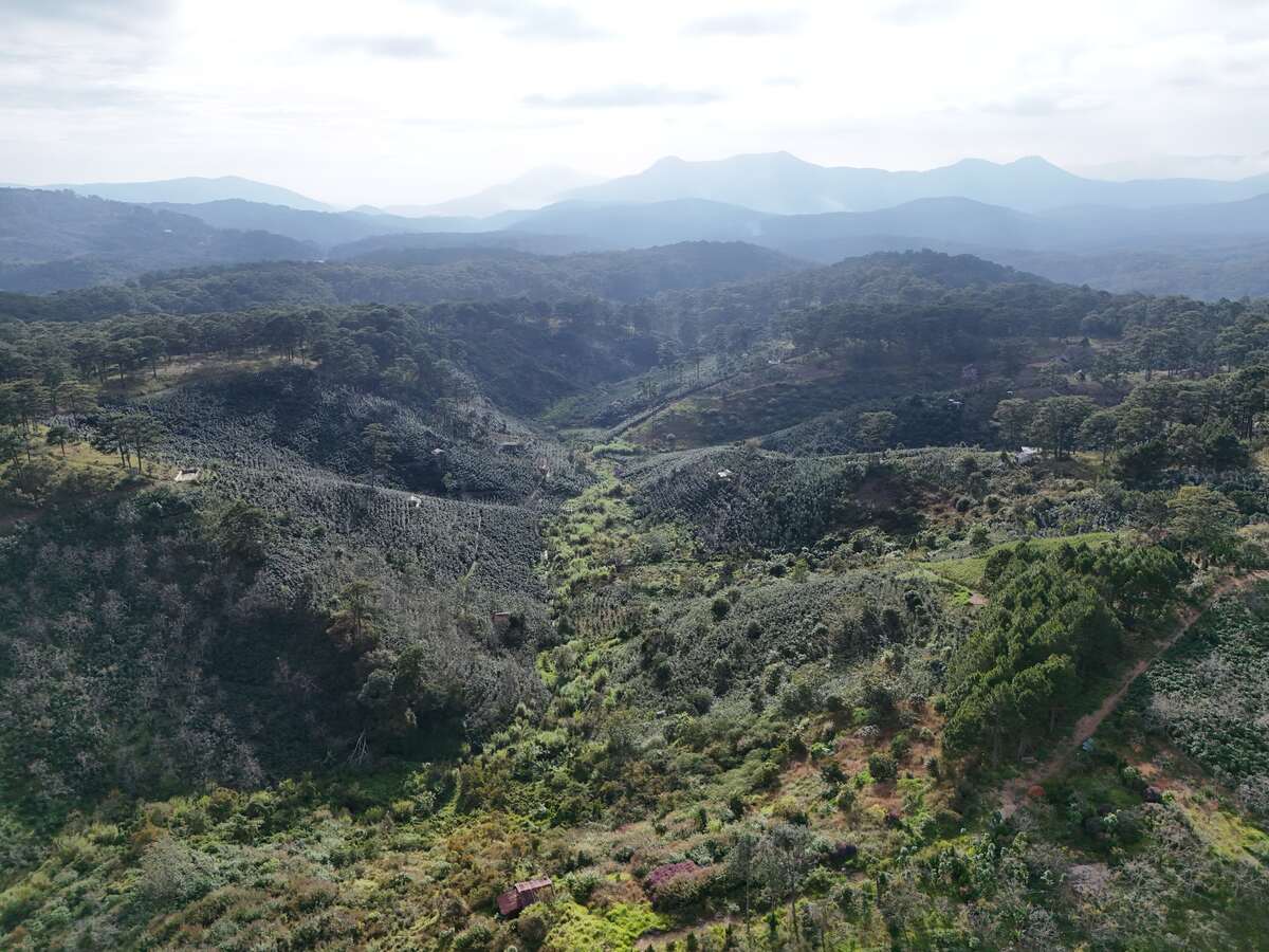 Slider Product Đất vườn Hầm Hỏa Xa  Đà Lạt: Đất View Rừng Thông 360, Sổ Riêng, Hồng Cổ 30 Năm 0