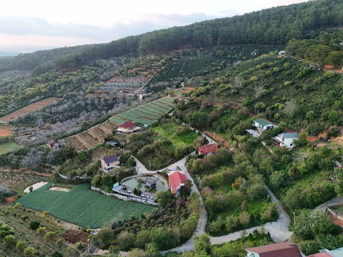 Slider Product Đất vườn Xây Biệt Thự Nghỉ Dưỡng Tại Cầu Đất – Đà Lạt quy hoạch 100% thổ cư 2