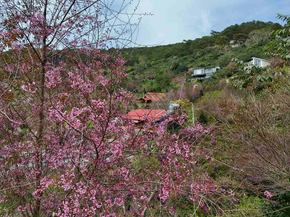 Slider Product Đất vườn Xây Biệt Thự Nghỉ Dưỡng Tại Cầu Đất – Đà Lạt quy hoạch 100% thổ cư 3