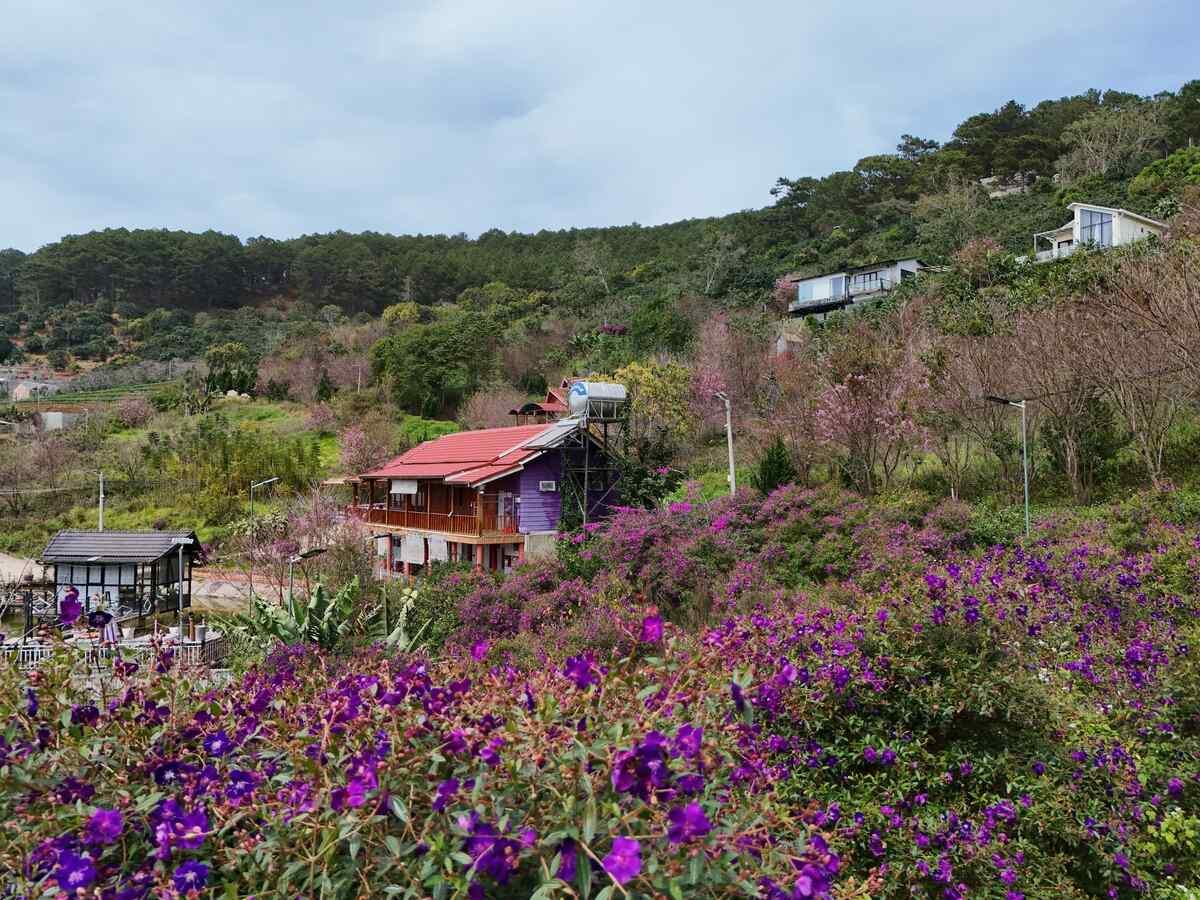 Slider Product Đất vườn Xây Biệt Thự Nghỉ Dưỡng Tại Cầu Đất – Đà Lạt quy hoạch 100% thổ cư 4