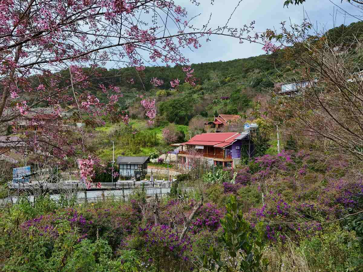 Slider Product Đất vườn Xây Biệt Thự Nghỉ Dưỡng Tại Cầu Đất – Đà Lạt quy hoạch 100% thổ cư 5