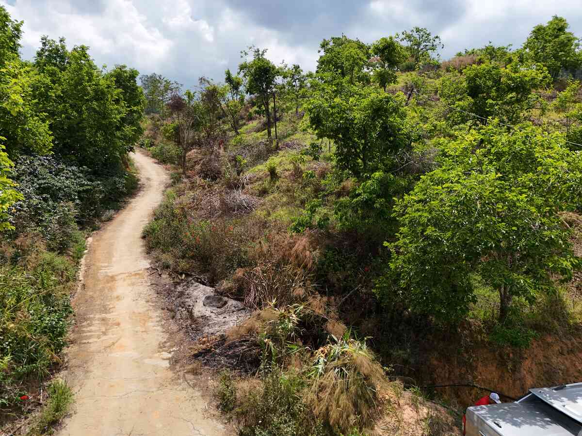 Slider Product Khu đất 120m mặt tiền Đất Làng Cầu Đất - Đà Lạt, Quy hoạch Full 100% thổ cư 1