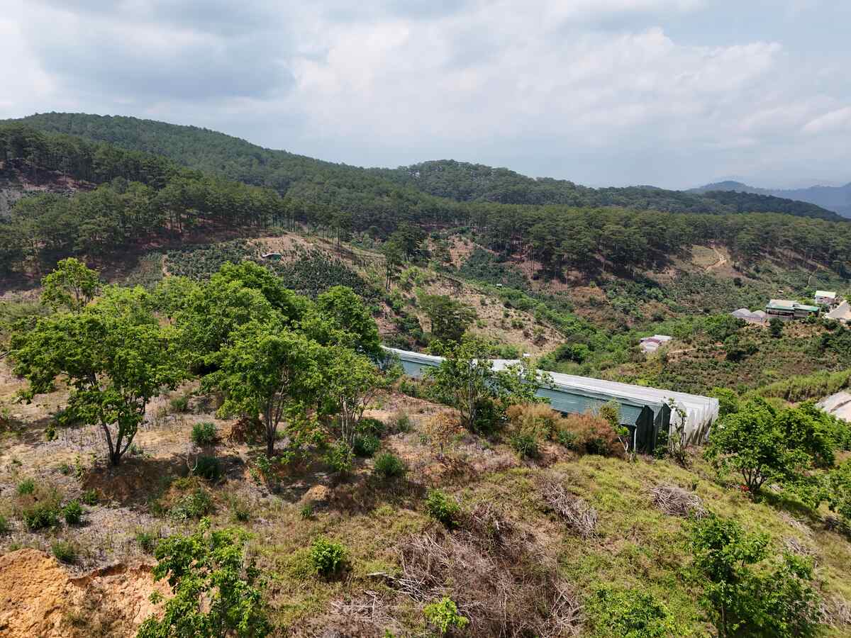 Slider Product Khu đất 120m mặt tiền Đất Làng Cầu Đất - Đà Lạt, Quy hoạch Full 100% thổ cư 2