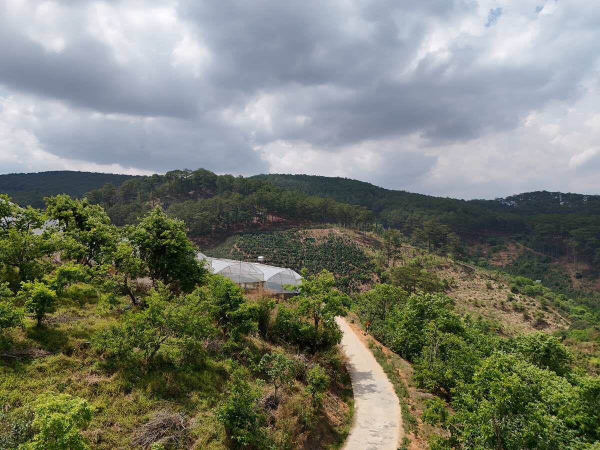 Slider Product Khu đất 120m mặt tiền Đất Làng Cầu Đất - Đà Lạt, Quy hoạch Full 100% thổ cư 3