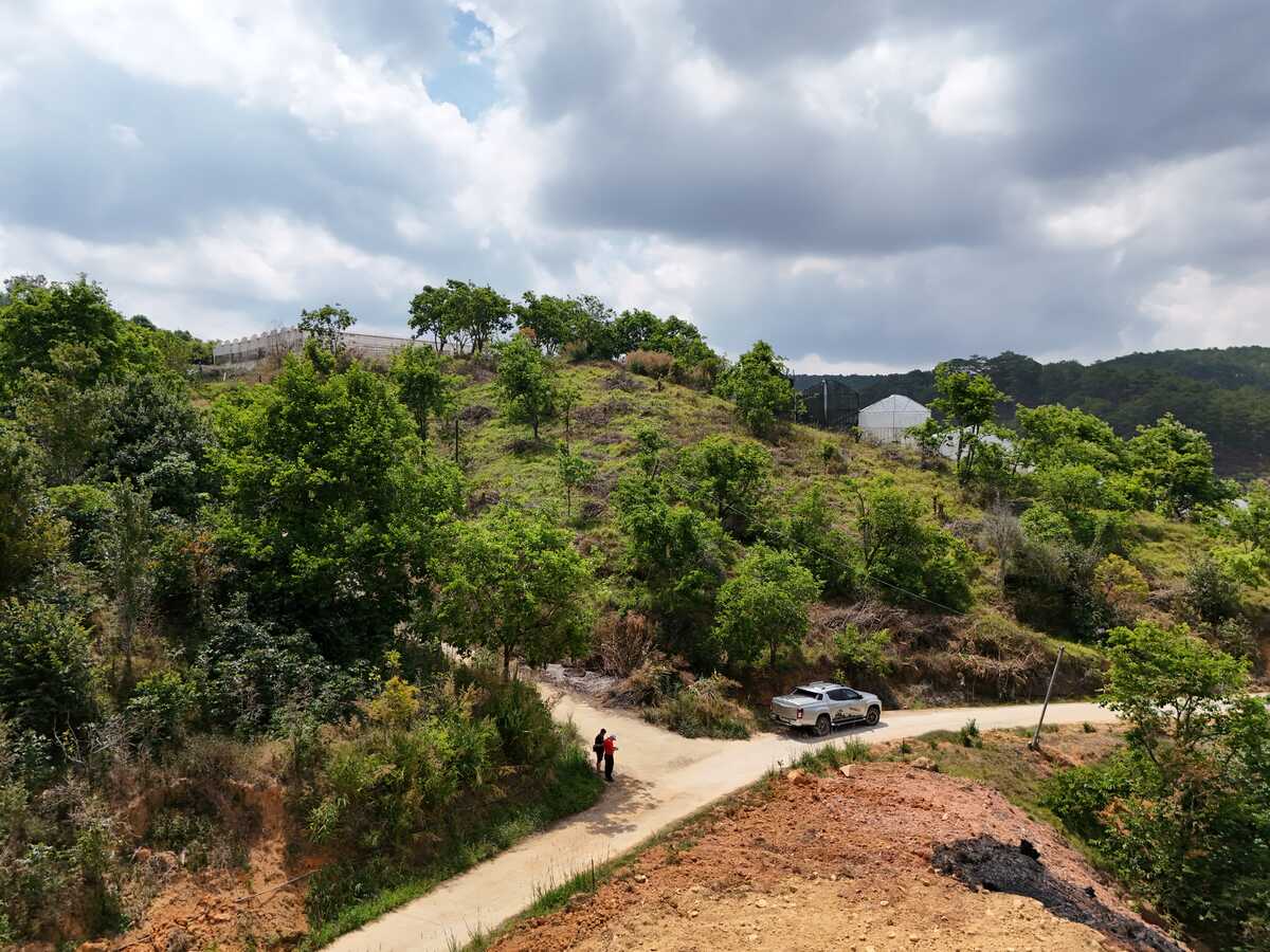 Slider Product Khu đất 120m mặt tiền Đất Làng Cầu Đất - Đà Lạt, Quy hoạch Full 100% thổ cư 4