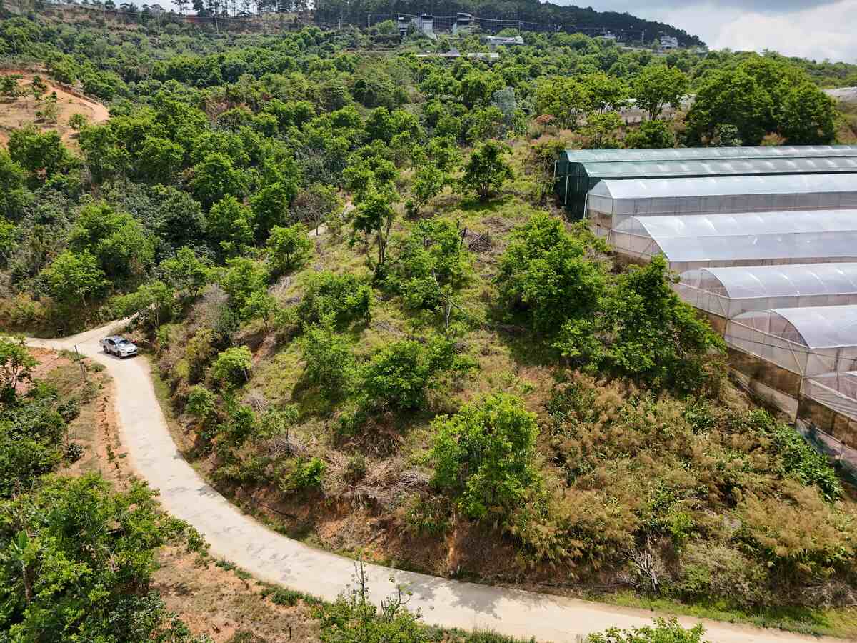 Slider Product Khu đất 120m mặt tiền Đất Làng Cầu Đất - Đà Lạt, Quy hoạch Full 100% thổ cư 5