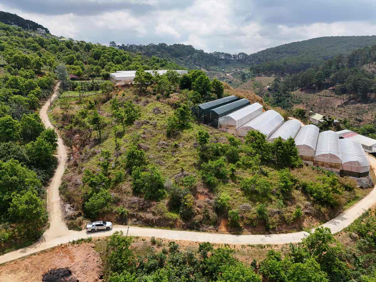 Slider Product Khu đất 120m mặt tiền Đất Làng Cầu Đất - Đà Lạt, Quy hoạch Full 100% thổ cư 6