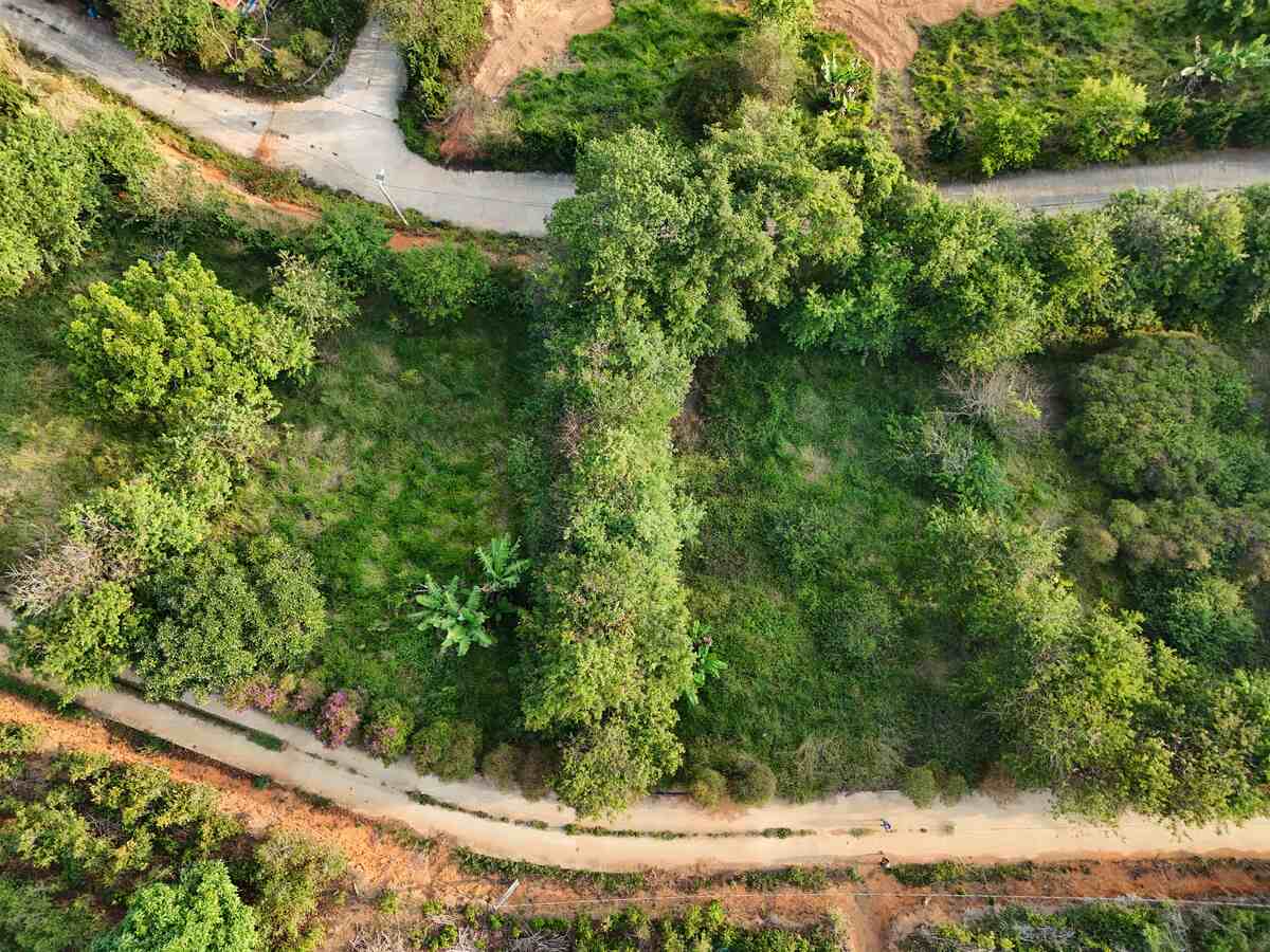 Slider Product Đất vườn biệt thự Cầu Đất - Đà Lạt, 2 mặt tiền 1000m2 view thung lũng mây quá chill 3