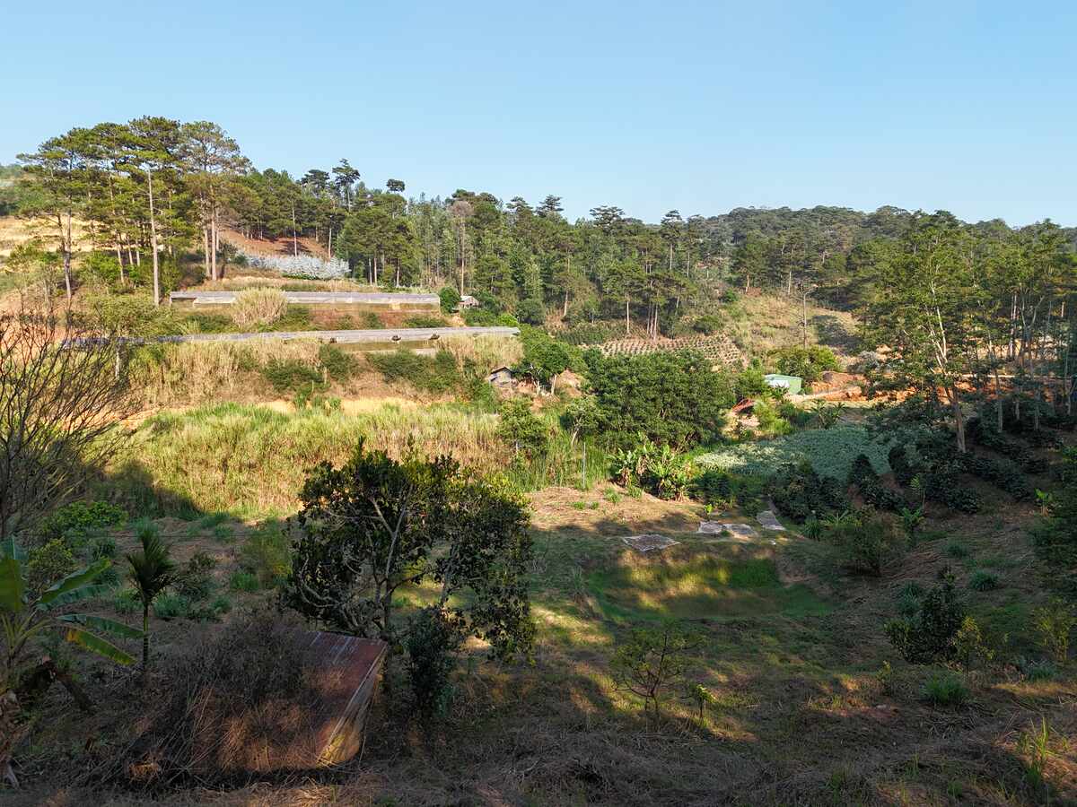 Slider Product Đất vườn 6.000m2 Xuân Thọ, bám suối bám đường view thông quá đẹp 1