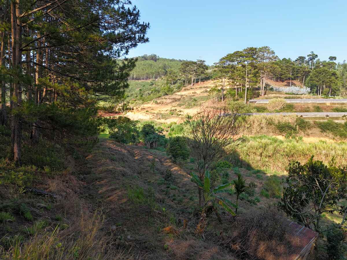 Slider Product Đất vườn 6.000m2 Xuân Thọ, bám suối bám đường view thông quá đẹp 2