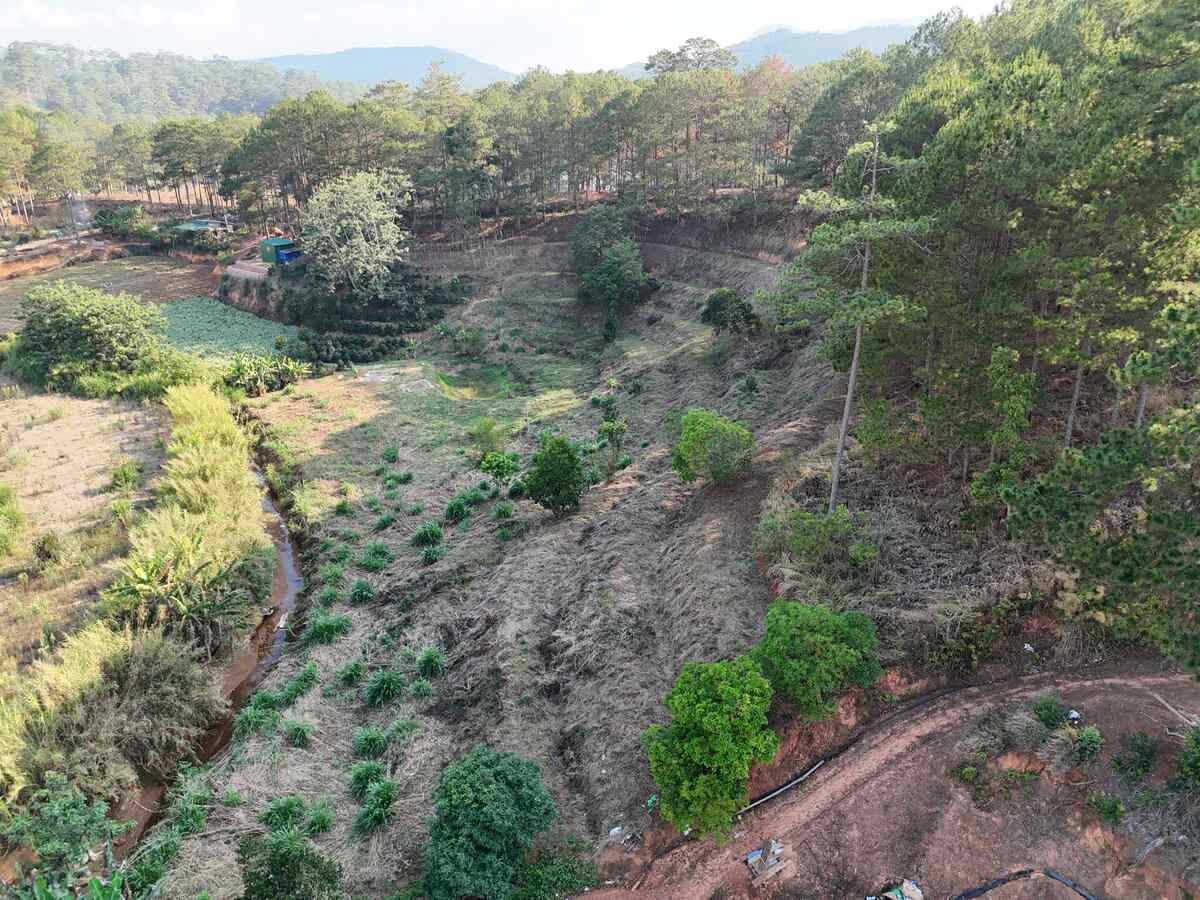 Slider Product Đất vườn 6.000m2 Xuân Thọ, bám suối bám đường view thông quá đẹp 3