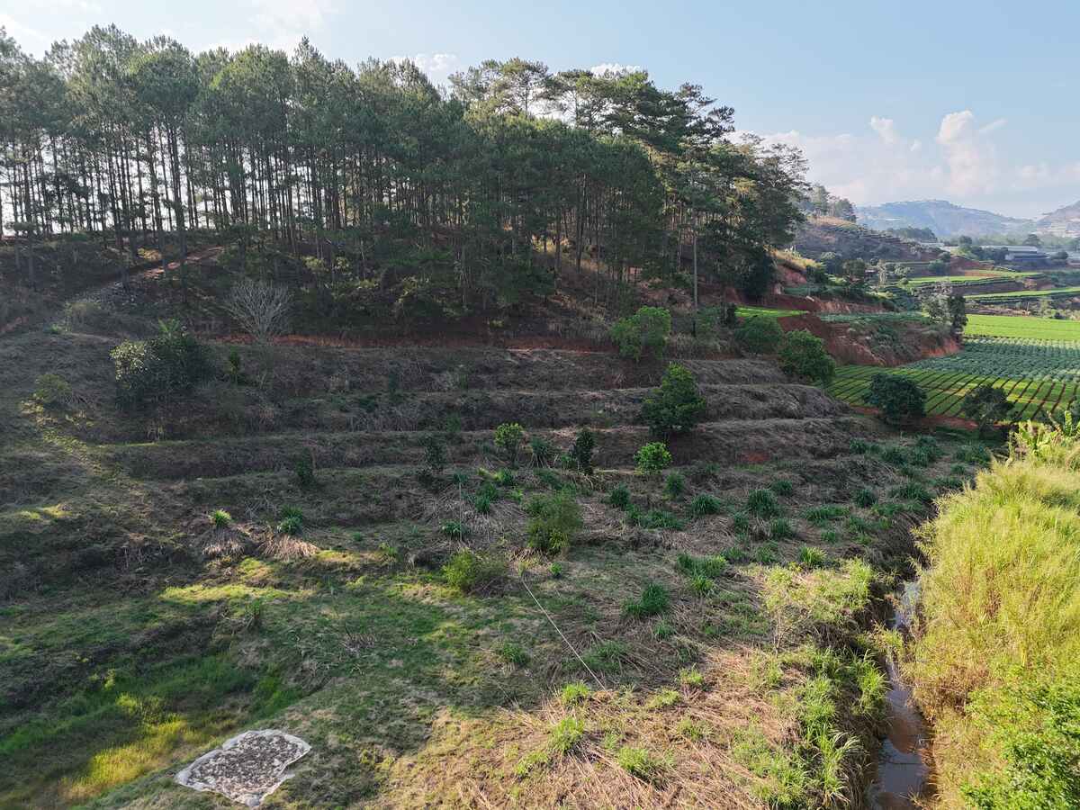 Slider Product Đất vườn 6.000m2 Xuân Thọ, bám suối bám đường view thông quá đẹp 4