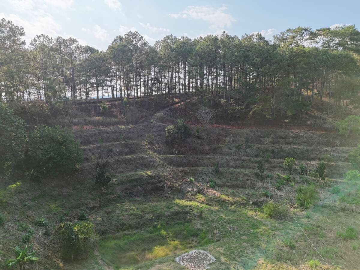 Slider Product Đất vườn 6.000m2 Xuân Thọ, bám suối bám đường view thông quá đẹp 5