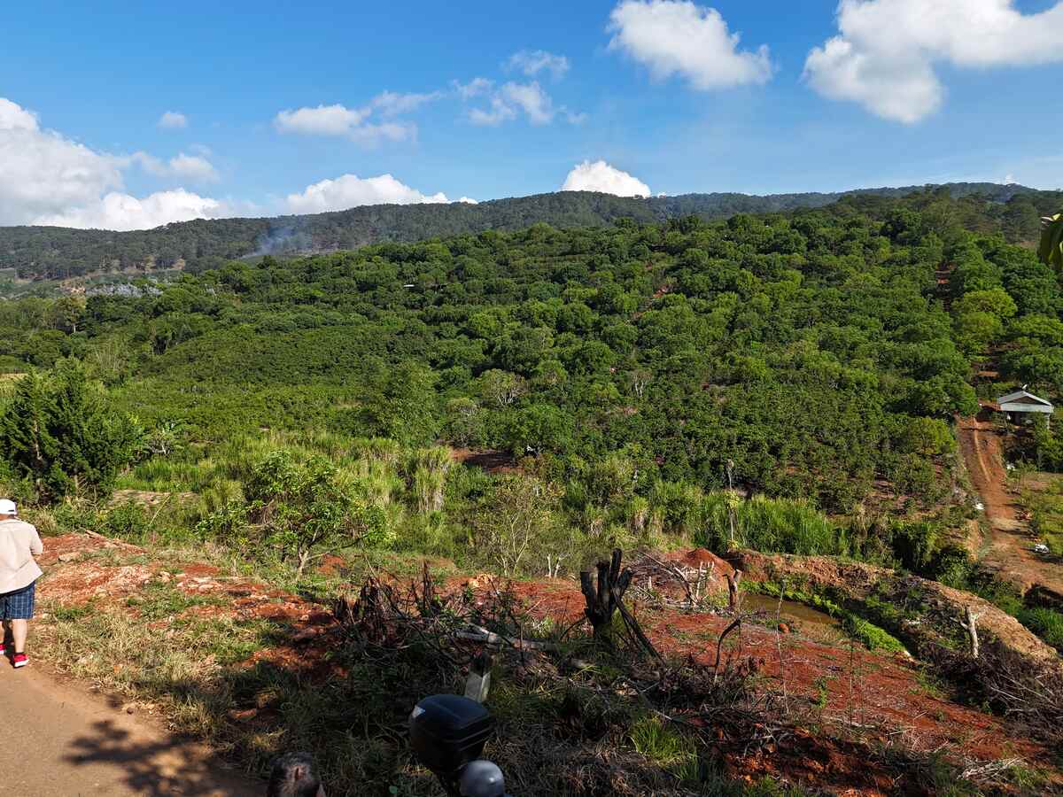 Slider Product Đất vườn Xuân Sơn Cầu Đất mặt tiền rộng, bám suối view đồi thông phù hợp làm homestay 0