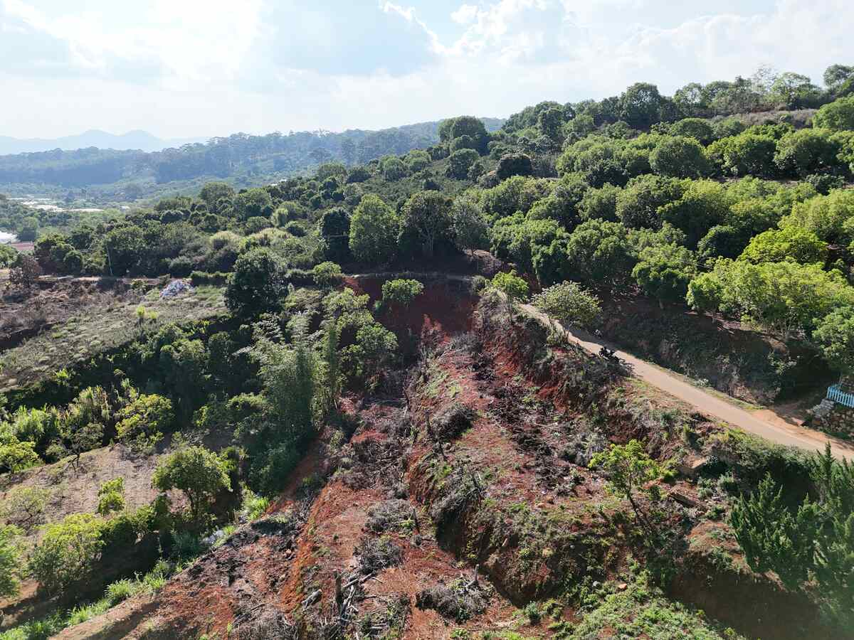 Slider Product Đất vườn Xuân Sơn Cầu Đất mặt tiền rộng, bám suối view đồi thông phù hợp làm homestay 1