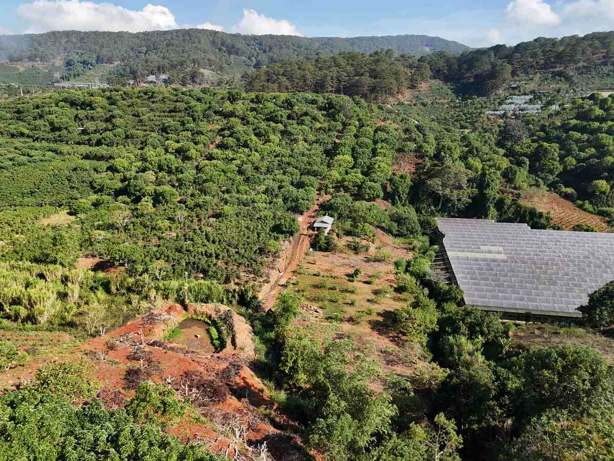 Slider Product Đất vườn Xuân Sơn Cầu Đất mặt tiền rộng, bám suối view đồi thông phù hợp làm homestay 3