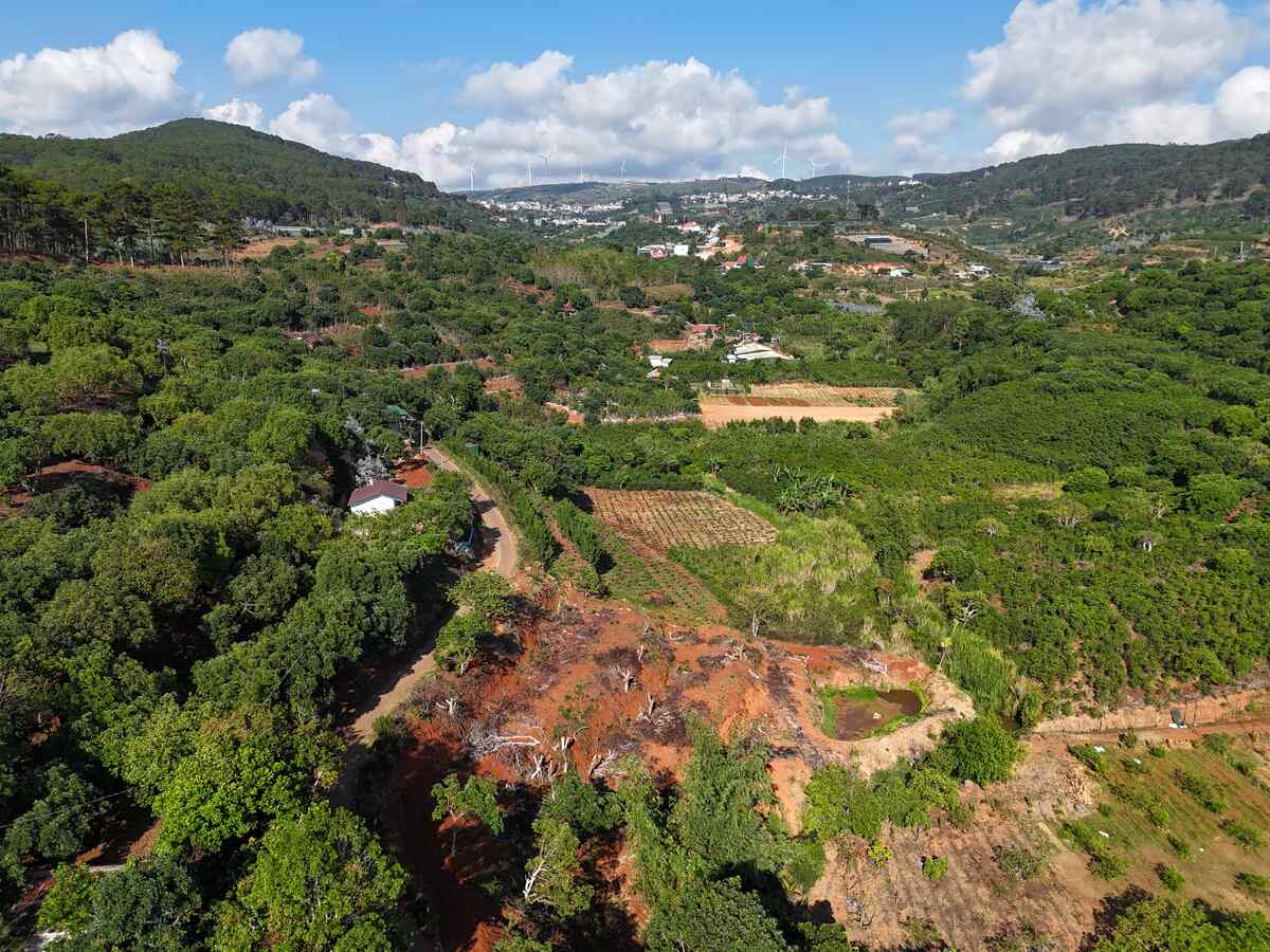 Slider Product Đất vườn Xuân Sơn Cầu Đất mặt tiền rộng, bám suối view đồi thông phù hợp làm homestay 4