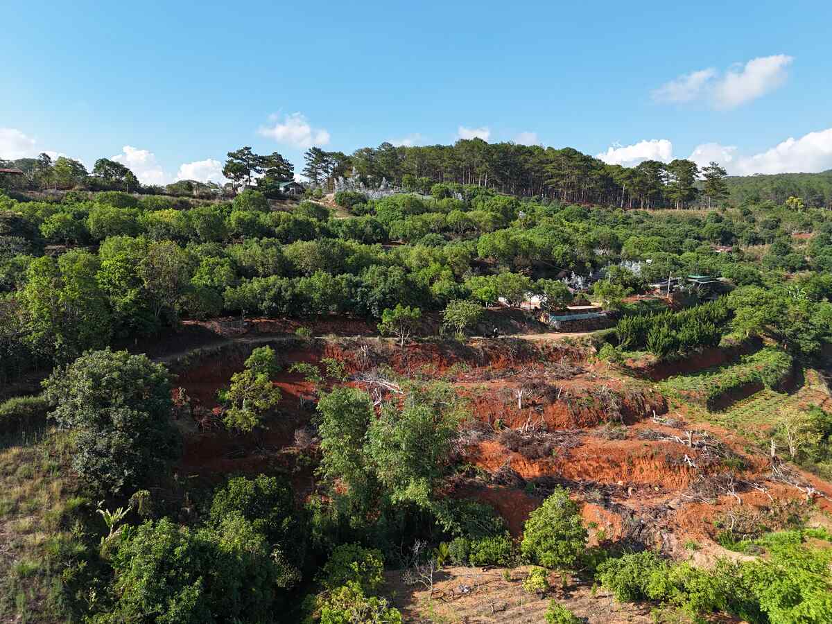 Slider Product Đất vườn Xuân Sơn Cầu Đất mặt tiền rộng, bám suối view đồi thông phù hợp làm homestay 5