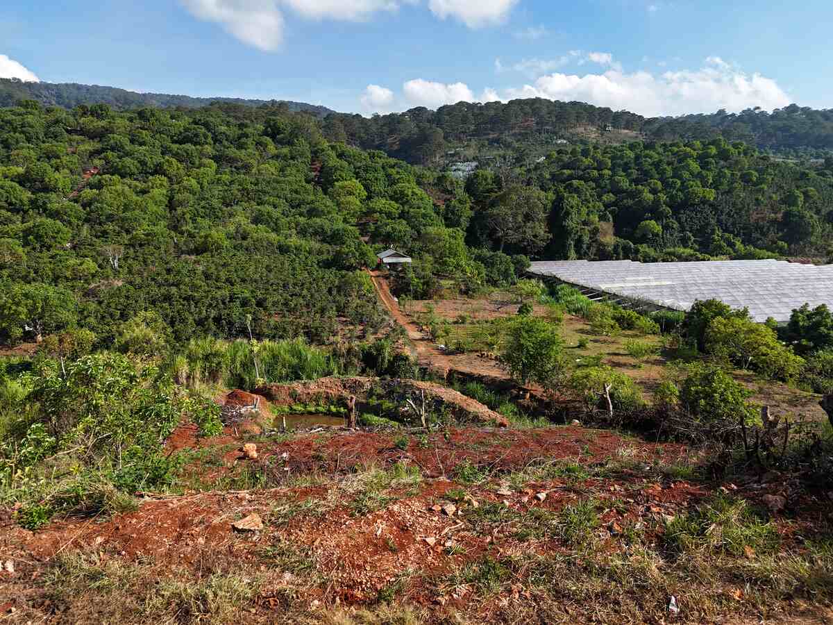 Slider Product Đất vườn Xuân Sơn Cầu Đất mặt tiền rộng, bám suối view đồi thông phù hợp làm homestay 6