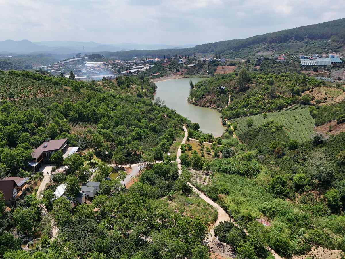 Slider Product Đất vườn Cầu đất view hồ view thông với 12.000m2 view cao vĩnh viễn cực đẹp 3