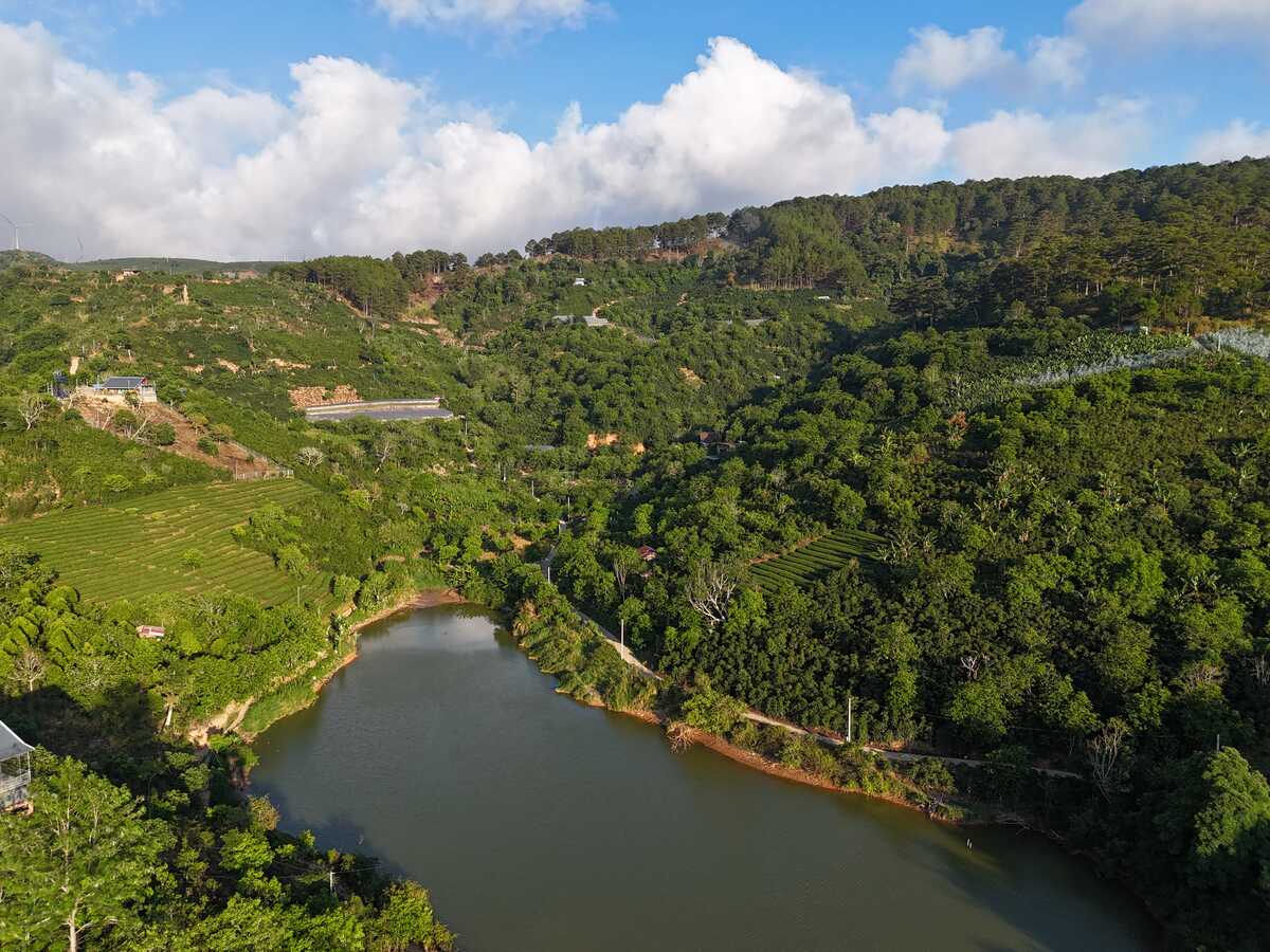 Slider Product Đất vườn Cầu đất view hồ view thông với 12.000m2 view cao vĩnh viễn cực đẹp 4