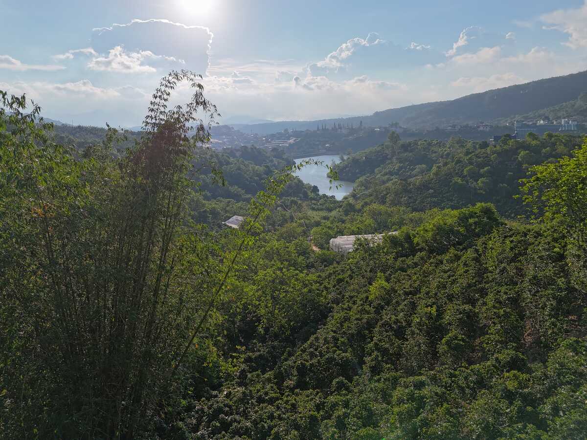 Slider Product Đất vườn Cầu đất view hồ view thông với 12.000m2 view cao vĩnh viễn cực đẹp 6