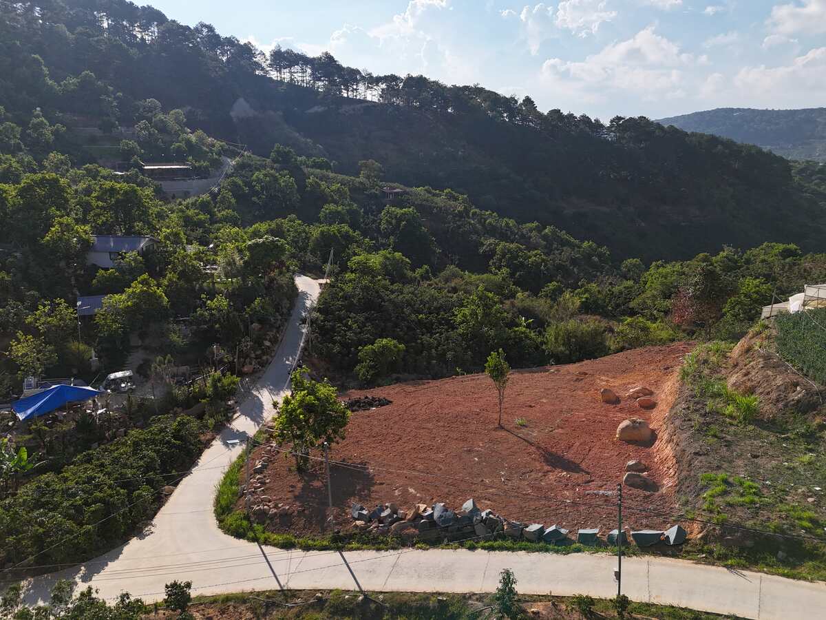 Slider Product Đất vườn Trạm Hành Cầu Đất với 2 mặt tiền view rừng thông xung quanh là homestay 0