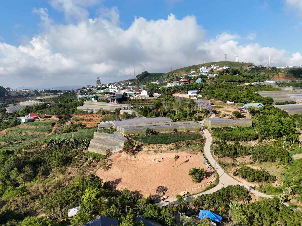 Slider Product Đất vườn Trạm Hành Cầu Đất với 2 mặt tiền view rừng thông xung quanh là homestay 1