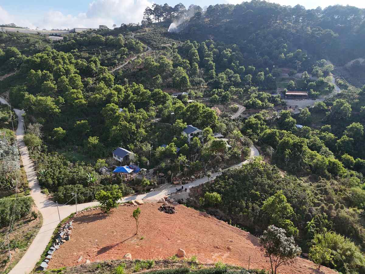 Slider Product Đất vườn Trạm Hành Cầu Đất với 2 mặt tiền view rừng thông xung quanh là homestay 2