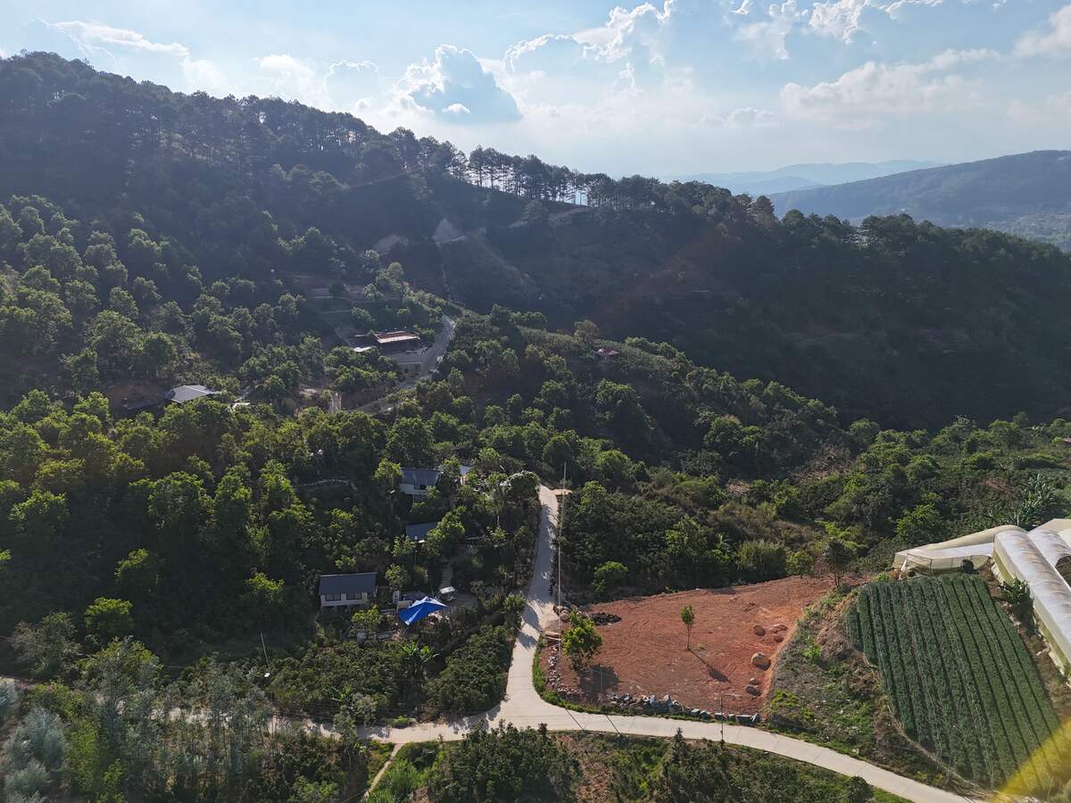 Slider Product Đất vườn Trạm Hành Cầu Đất với 2 mặt tiền view rừng thông xung quanh là homestay 3