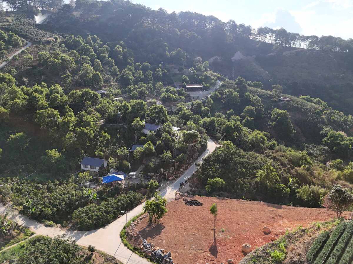 Slider Product Đất vườn Trạm Hành Cầu Đất với 2 mặt tiền view rừng thông xung quanh là homestay 4