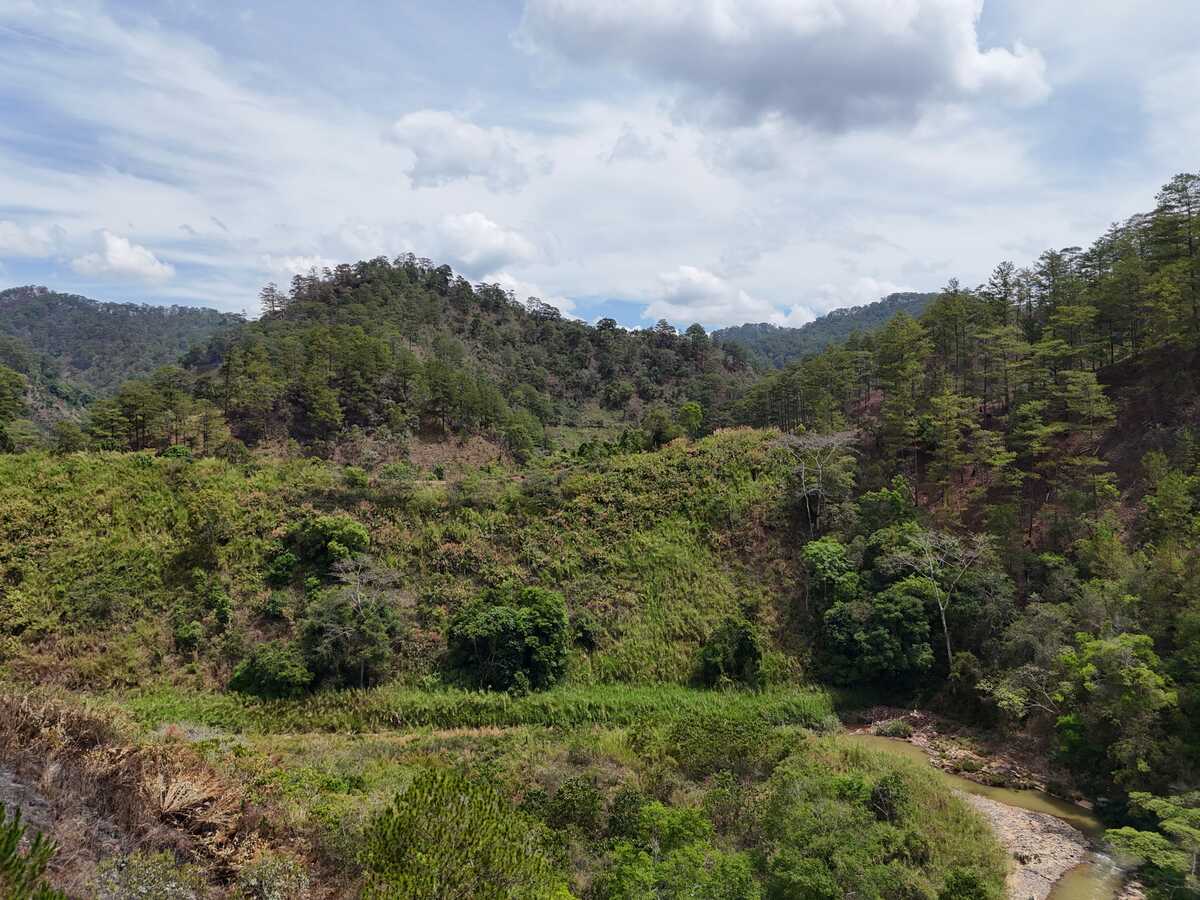 Slider Product Đất Rẫy thực tế hơn 10ha với 3 mặt giáp sông Con, cách trung tâm đà lạt 10km 2