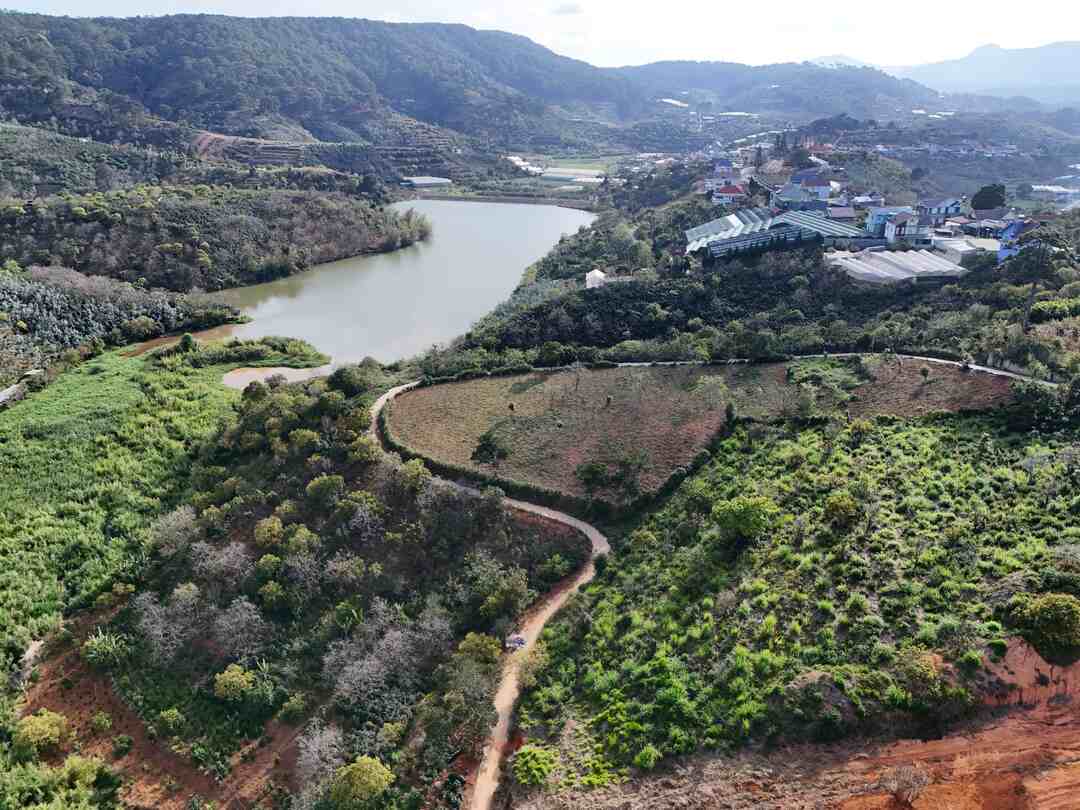 Slider Product Bán khu Đất 9000m2 hợp làm homestay, biệt thự vườn - 3 Mặt Tiền, View Hồ, rừng Thông, Điện Gió 5