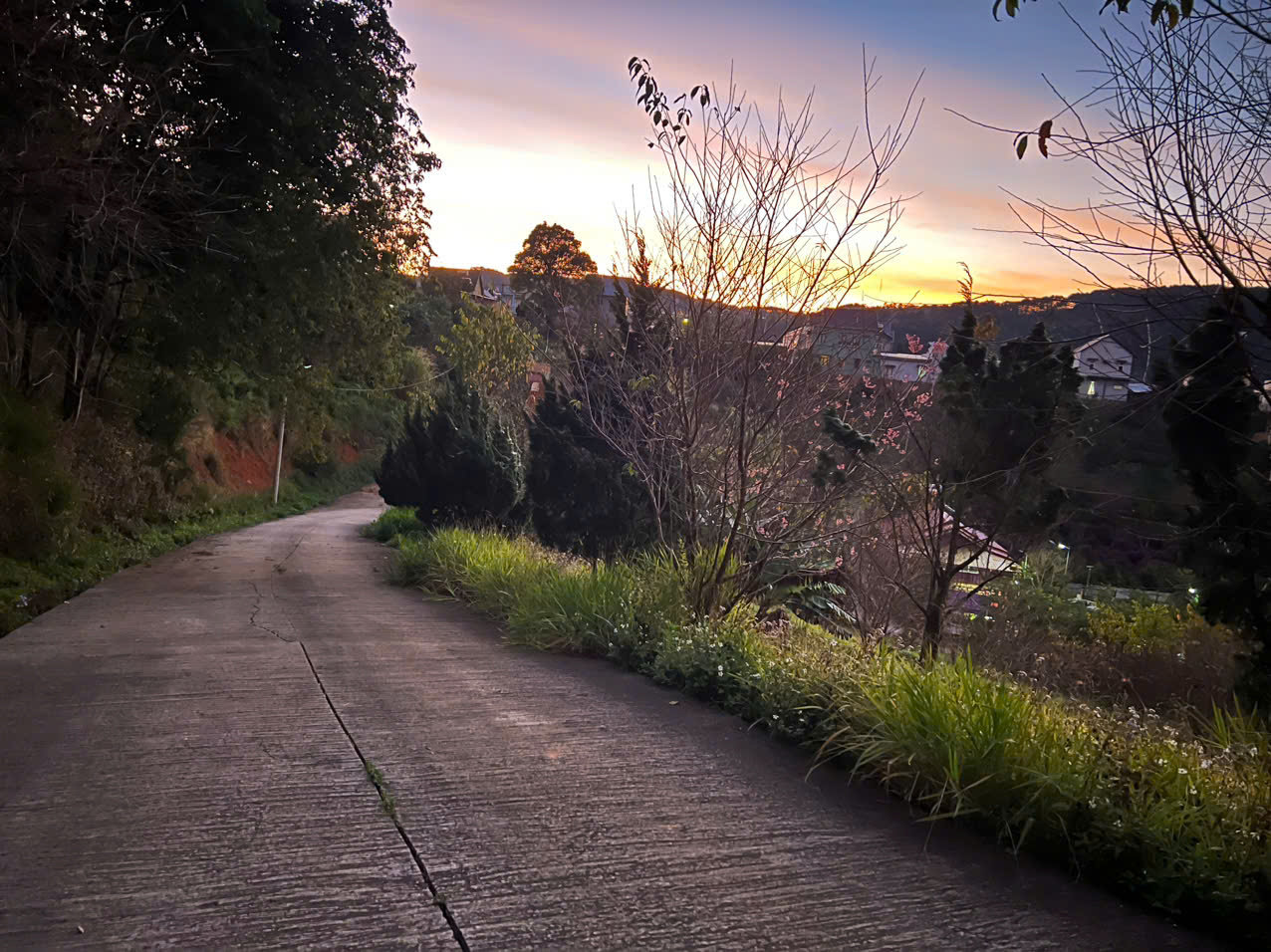 Slider Product Bán biệt Thự Nghỉ Dưỡng Đà Lạt – 5 Phòng Ngủ, Săn Mây Và Ngắm Hoàng Hôn Tuyệt Đẹp 8